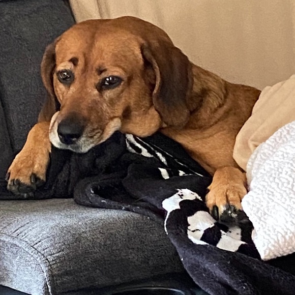 Hello beautiful peeps!👋🏻 - Picture 3 of 5